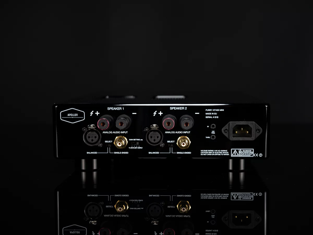 Purifi 1ET400A mini amplifier back panel