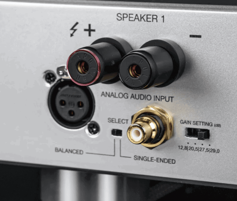 XLR and RCA inputs with gain setting